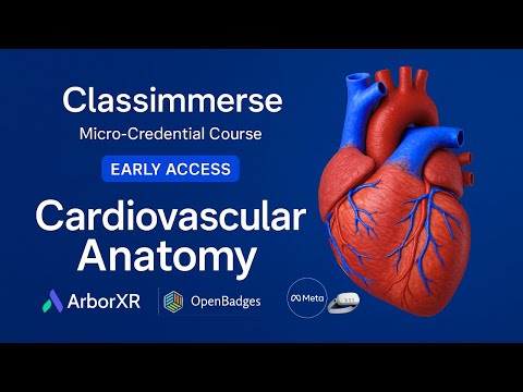 Cardiovascular Anatomy XR | Skills-Based Heart Anatomy and Emergency  Awareness